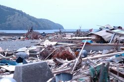 DSC_0875 DSC_0875
